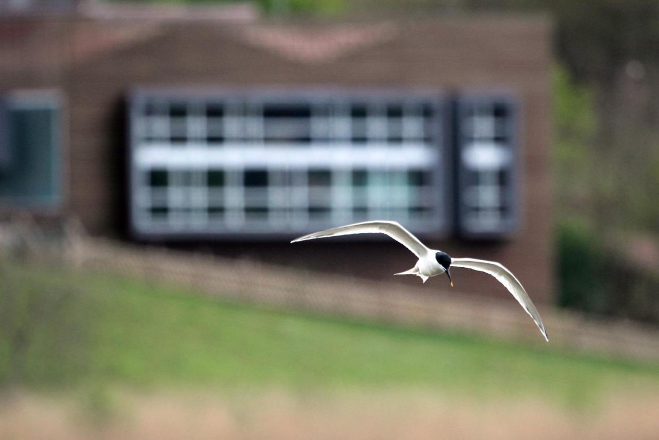 Hotel Urdaibai Bird Center à Gautegiz Arteaga Extérieur photo