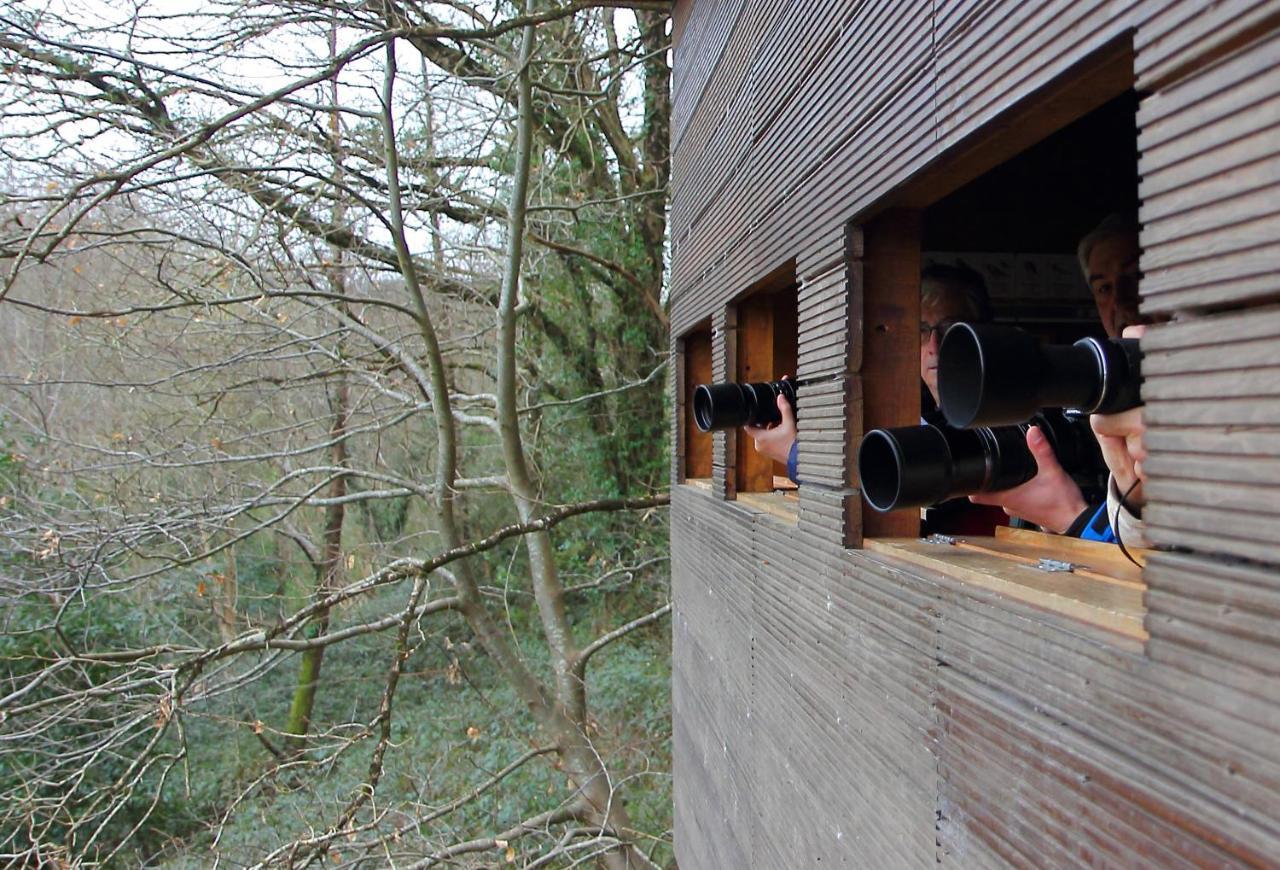 Hotel Urdaibai Bird Center à Gautegiz Arteaga Extérieur photo